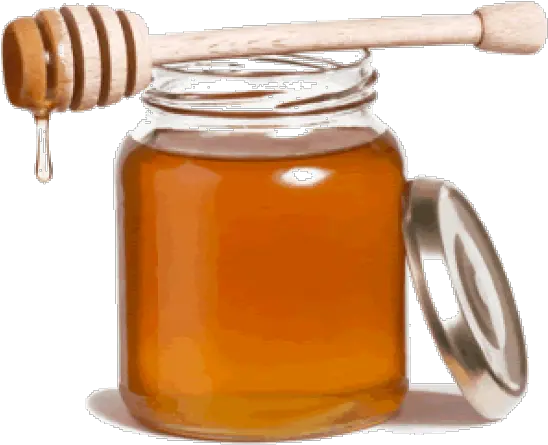 Honey Png Free Image Download 32 Images Jar Of Honey Png Honey Jar Png