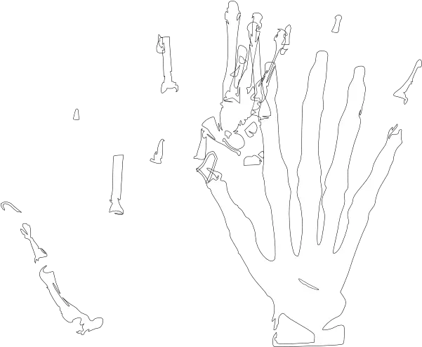 Skeleton Hand White Clip Art Illustration Png Skeleton Hand Png