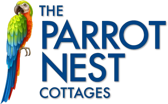 The Parrot Nest Cottages Sanibel Florida Cottages Parrot Macaw Png Parrot Transparent