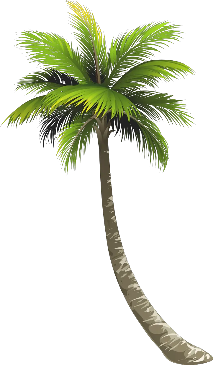 Clip Art Palm Tree Png