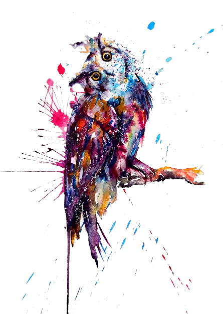 Download Owl Tattoo Watercolor Painting Paint Splatter Tattoo Art Png Tattoos Transparent Background