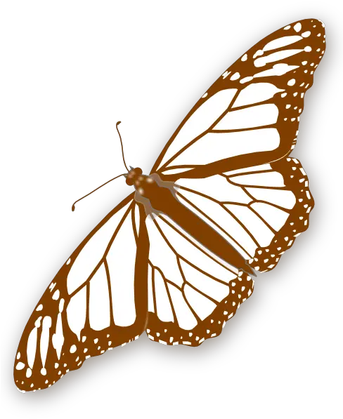 Brown Butterfly Clipart Png Black And White Butterfly Png Monarch Butterfly Png