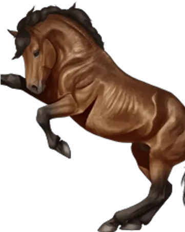 Mustang Horse Reality Wikia Fandom Roan Png Horse Transparent Png