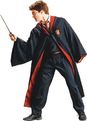 Harry Potter Harry Potter Pointing Wand Png Hogwarts Png