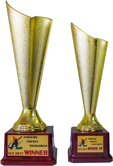 Download Hd Fiber Trophies Caag Cricket Trophy Images Download Png Trophy Transparent