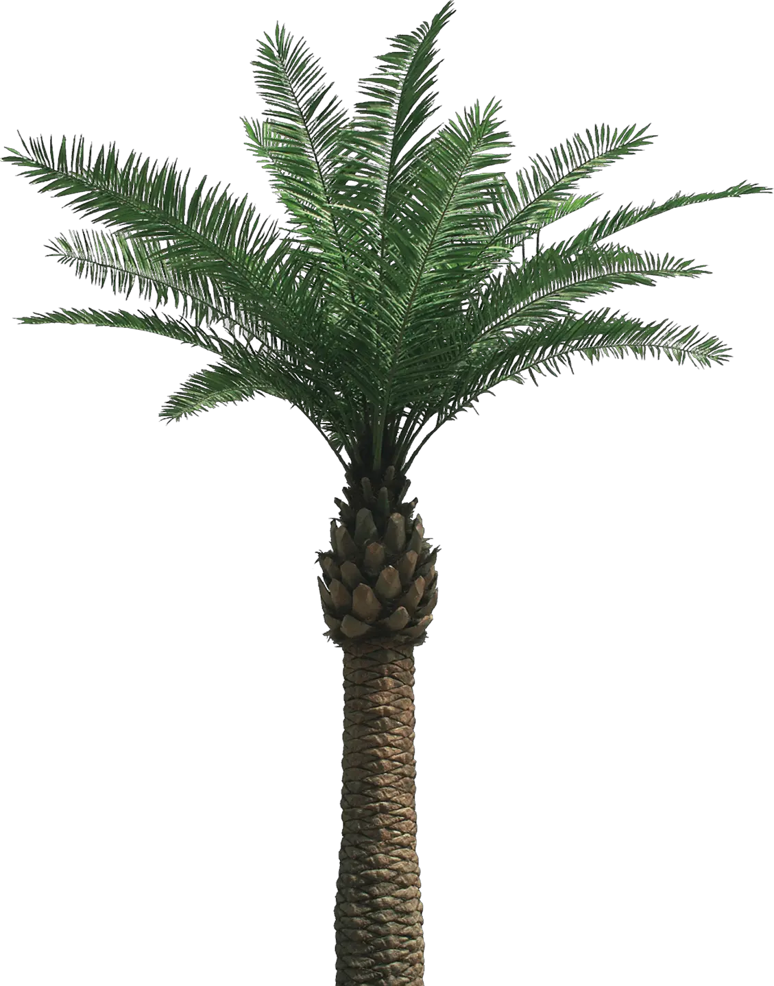 Blue Gradient Palm Trees Png