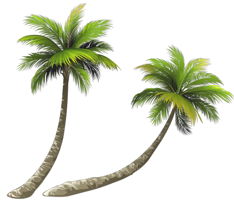 Black And White Palm Trees Png