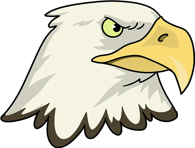 How To Draw An Eagle Head Really Easy Drawing Tutorial Draw A Eagle Head Png Bald Eagle Head Png