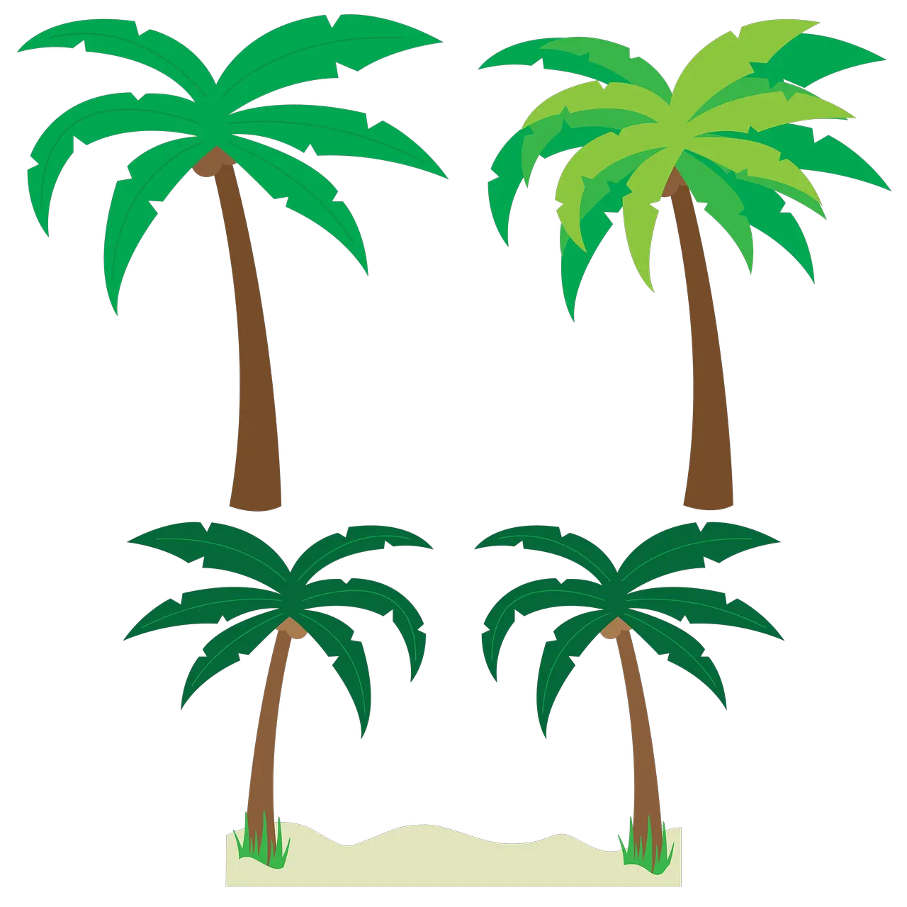 Beach Palms Tree Png