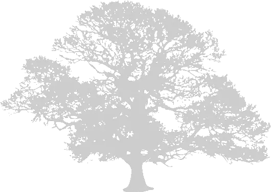 Claxton Grange Tierra Cultura Libertad Logo Png Oak Tree Silhouette Png