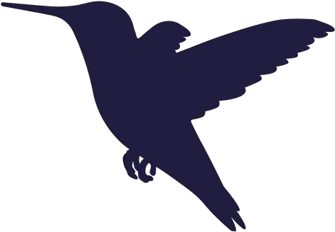 Hummingbird Silhouette Drawing Silhouette Png Download Silueta De Colibrí En Dibujo Hummingbird Png