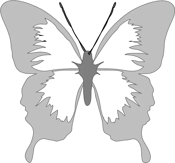 Butterfly Vector Png Silver Butterfly Clip Art 1465270 Butterfly Clip Art Butterfly Vector Png