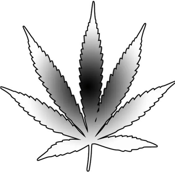 Pot Leaf Tattoo Stencil Weed Plant Tattoo Outline Png Pot Leaf Transparent Background