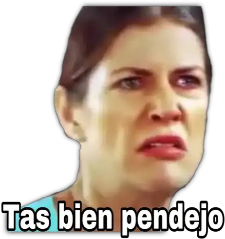 Memes Random Tas Bien Pendejo Meme Png Memes Png