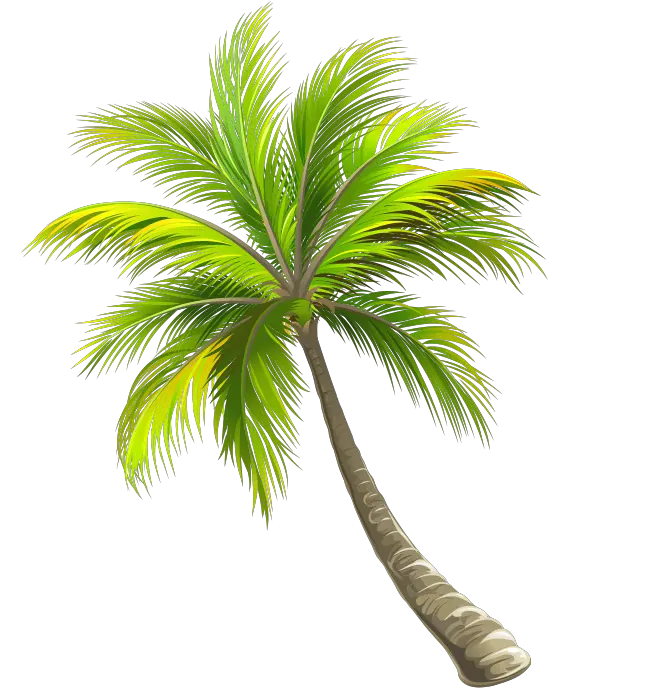 2 Palm Trees Png Clipart