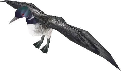 Pc Computer Zoo Tycoon 2 Common Loon The Models Resource Zt2 Loon Png Loon Icon