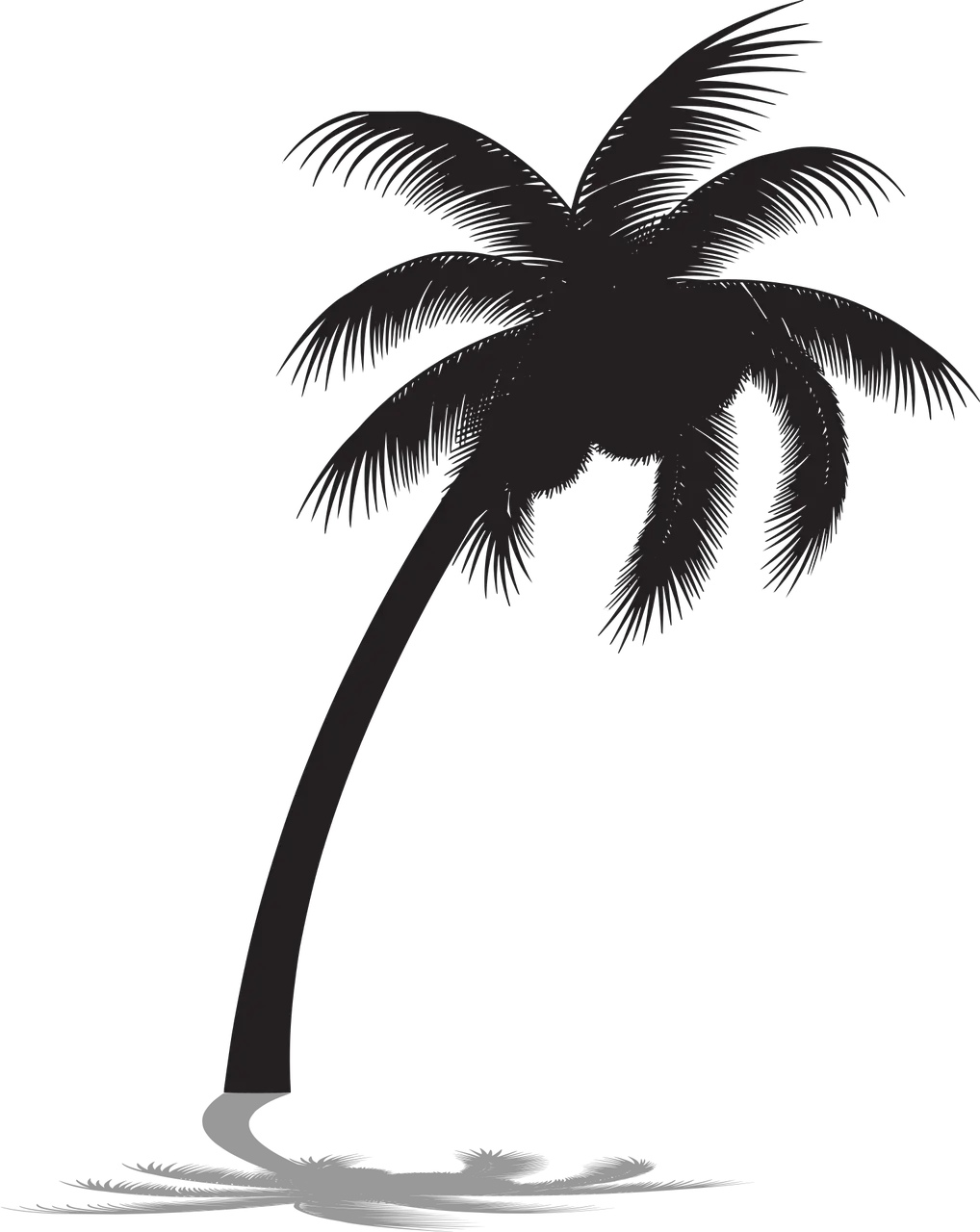 Palm Trees Transparent Png