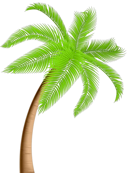 Palm Trees Cartoon Png