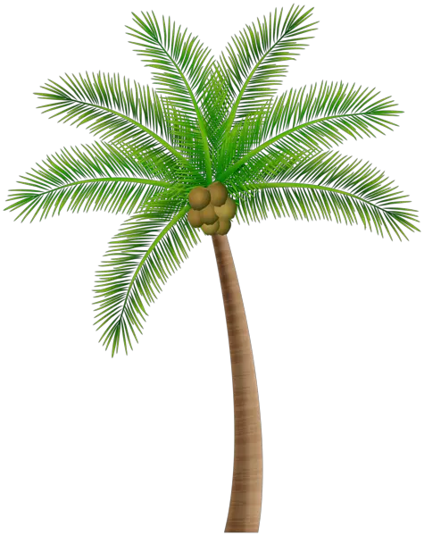 Palm Trees Logo Png