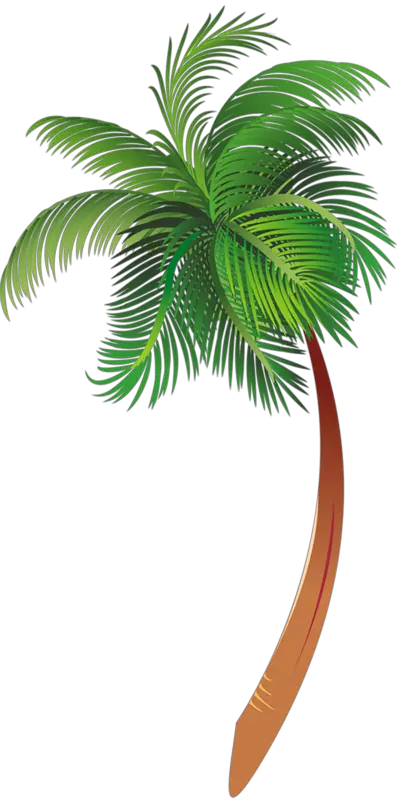 Palm Tree Png Icon