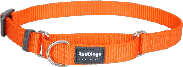 Classic Martingale Dog Collar Png