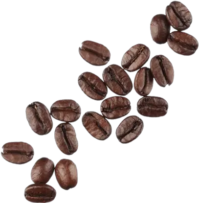 Coffee Beans Png High Transparent Background Coffee Bean Png Beans Png