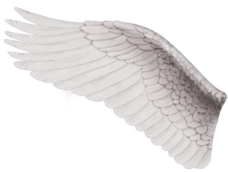 Ala De Angel Izquierda Png Download Cb Edit Wings Png Ala De Angel Png Black Wing Png