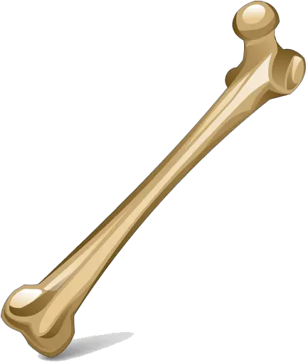 Download Bone Png Image Transparent Background Human Bone Png Bone Png