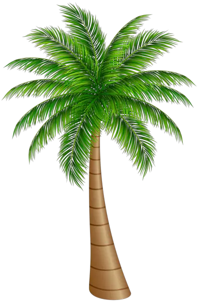 White Palm Tree Png