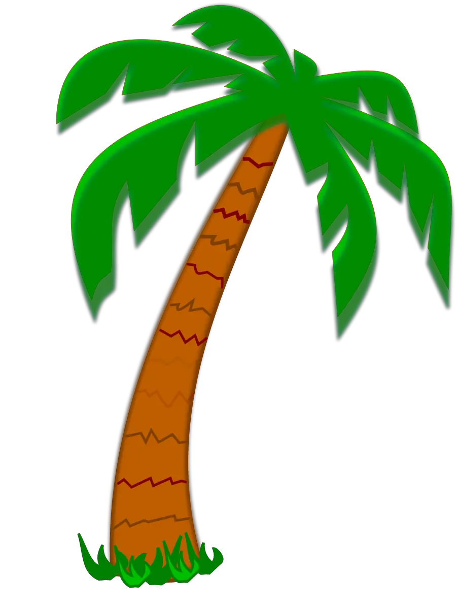 Tropical Palm Tree Png