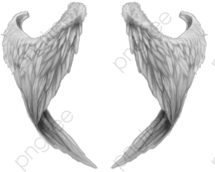 Airplane Wings Clipart Png Angel Transparent Background