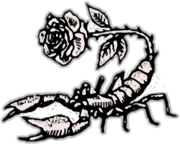 Tumblr Rose Rock Scorpion Scorpio Wallpaper For Iphone Scorpion Drawing Png Scorpion Png