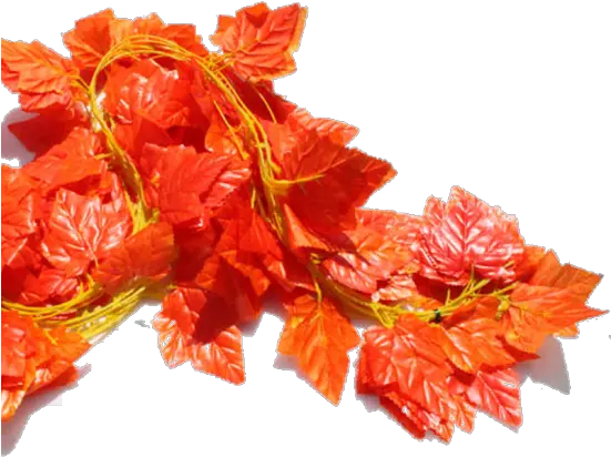 Su Shi Rattan Wall Hanging Artificial Flower Vine Decoration Begonia Png Hanging Ivy Png