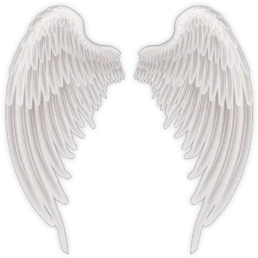 Bird Angels Wings Png Transparent Photo Image Free Transparent Hd Angel Wings Png Angel Png Transparent