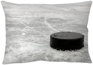 Black Hockey Puck We Live To Change Cushion Png Hockey Rink Png