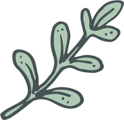 Olive Branch Hand Drawn Cartoon Icon 4 Transparent Png Rama Olivo Dibujo Png Olive Branch Png