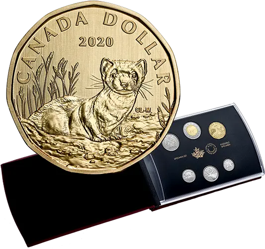 6 Coin Specimen Set Blackfooted Ferret 2020 The Royal 2020 Toonie Canada Png Ferret Png