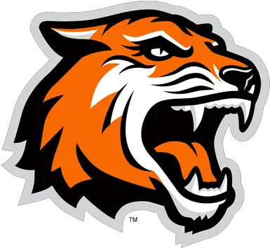 Logos Rochester Institute Of Technology Tiger Png Tiger Logo Png