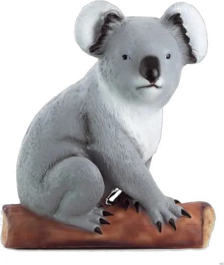 Koala Bear Png