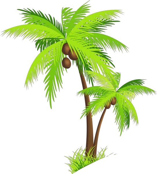 Palm Tree Png Image