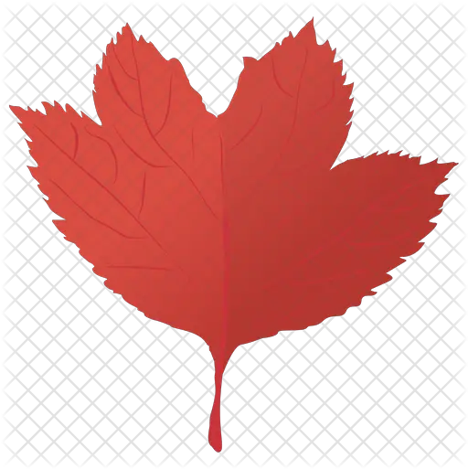 Red Maple Icon Of Flat Style Red Maple Png Maple Png