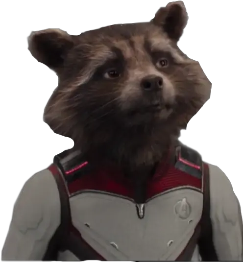 Rocket Endgame Marvel Freetoedit Rocket Raccoon Png Rocket Raccoon Transparent