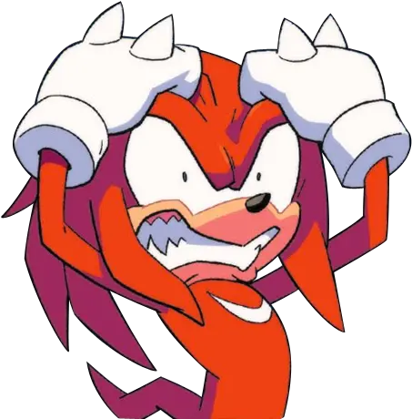 Knock Knuckles The Echidna Idw Png Knuckles Png