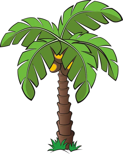 Palm Tree Illustration Png