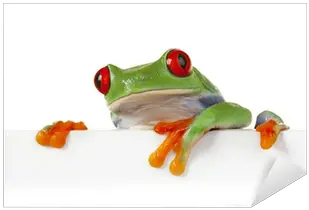 Crazy Frog Sticker U2022 Pixers We Live To Change Green Frog Png Crazy Frog Png