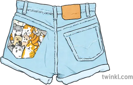 Customised Shorts Illustration Twinkl Short Png Shorts Png