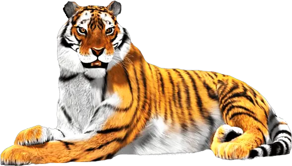 Sitting Tiger Png Download Image National Animal Of India Clipart Tiger Png