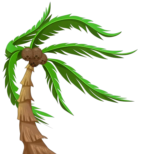 Gold Palm Tree Png