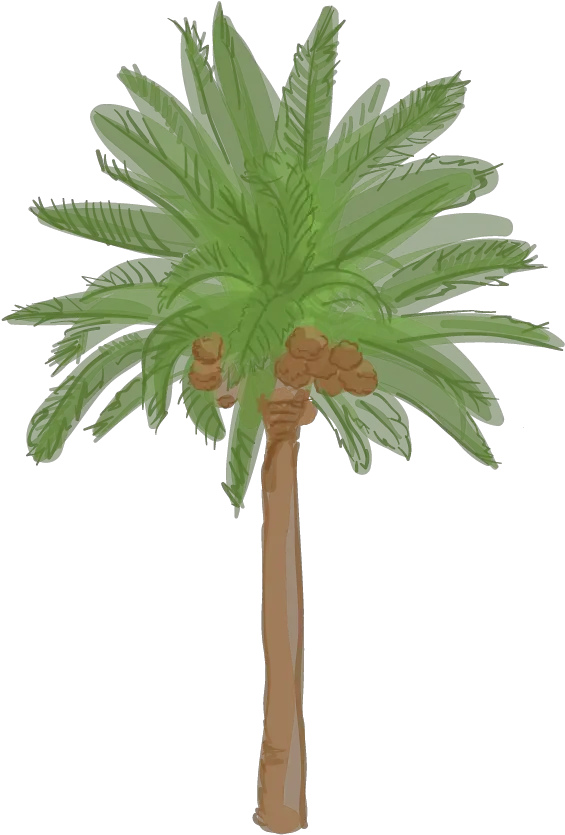 California Palm Tree Png
