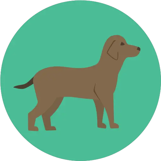 Free Icon Dog Flat Animal Icon Png Dog Icon Transparent